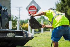 Accurate Asphalt Paving Contractors in Maryland